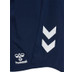 Hummel Denemarken Pro Training Short 2024/2026