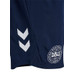 Hummel Denemarken Pro Training Short 2024/2026