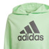 adidas Big Logo Hoody Jongens