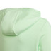 adidas Big Logo Hoody Jongens