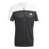 adidas Roland Garros Pro Freelift Polo Set Heren