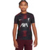 Nike Liverpool Pre-Match Top Kids 2023/2024 1