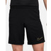 Nike Academy Short