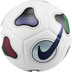 Nike Futsal Maestro