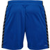 Hummel Authentic PL Shorts Men