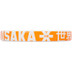 Osaka Vision Pro Padel