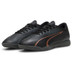 Puma Ultra Play Indoor