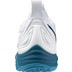Mizuno Wave Momentum 3