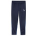 Puma GOAL Training Pant