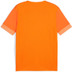 Puma GOAL Training Shirt