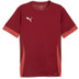 Puma GOAL Trainingsset