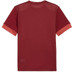 Puma GOAL Trainingsset
