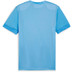 Puma GOAL Training Shirt