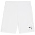 Puma GOAL Träningsset