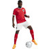 Puma Austria Home Shirt 2024/2026