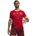 Puma Zwitserland Thuis Shirt