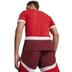 Puma Zwitserland Thuis Shirt