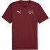 Puma Zwitserland Training Shirt