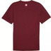 Puma Zwitserland Training Shirt
