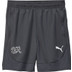 Puma Switserland Short 2024/2026