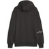 PUMA Hoops Team Hoodie