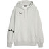 Puma Hoops Team Hoodie