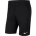 Nike Dry Park 20 Short