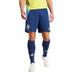 adidas Zweden Thuis Tenue