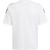adidas Tiro 24 Voetbaltenue Kids