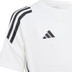 adidas Tiro 24 Voetbaltenue Kids