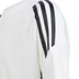 adidas Tiro 24 Voetbaltenue Kids