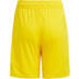 adidas Tiro 24 Training Short Kids