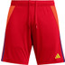 adidas Tiro 24 Competition Torwart Outfit-Kombi