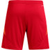 adidas Tiro 24 Competition Torwart Outfit-Kombi
