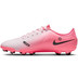 Nike Tiempo Legend 10 Academy FG/MG