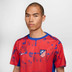 Nike Atletico Madrid Pre-Match Top 2024/2025