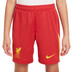 Nike Liverpool Thuis Tenue Kids