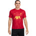 Nike Liverpool Pre-Match Top 2024/2025