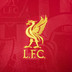 Nike Liverpool Pre-Match Top 2024/2025