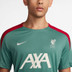 Nike Liverpool Strike Top 2024/2025