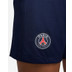 Nike Paris Saint-Germain Thuis Tenue Dames