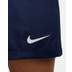 Nike Paris Saint-Germain Thuis Tenue Dames