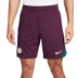 Nike Paris Saint-Germain Elite Strike Träningsset
