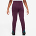 Nike Paris Saint-Germain Strike Pant Kids