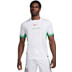 Nike Nigeria Thuis Shirt 2024/2026