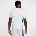 Nike Nigeria Thuis Shirt 2024/2026