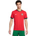 Nike Portugal Heim Tenue