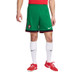 Nike Portugal Heim Tenue