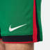 Nike Portugal Heim Tenue
