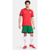 Nike Portugal Heim Tenue